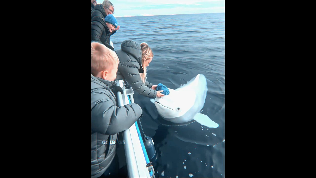 A Beautiful Moment ❤️‍🩹