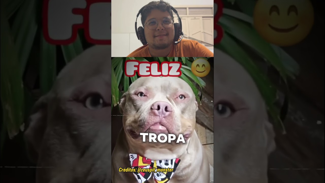 SÓ PODE CURTIR QUEM AMA CACHORROS 🥹 #familia #cachorro #pets #youtubeshorts #shorts