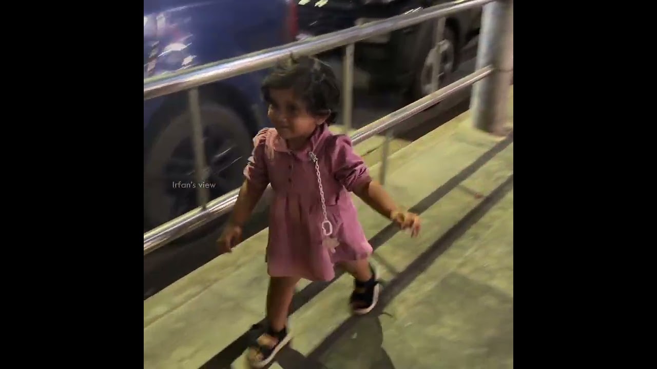 Ifa Love Dogs ❤️