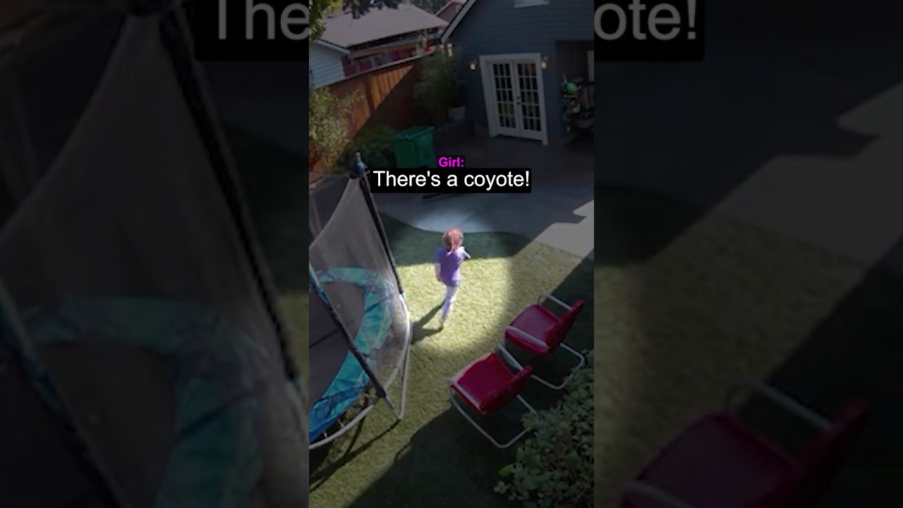 When a Family Gets an Unexpected Visit