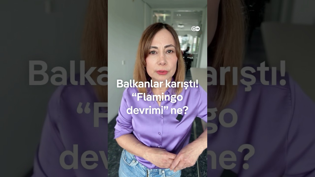 Arnavutluk ve Yunanistan karıştı! Flamingo devrimi ne?