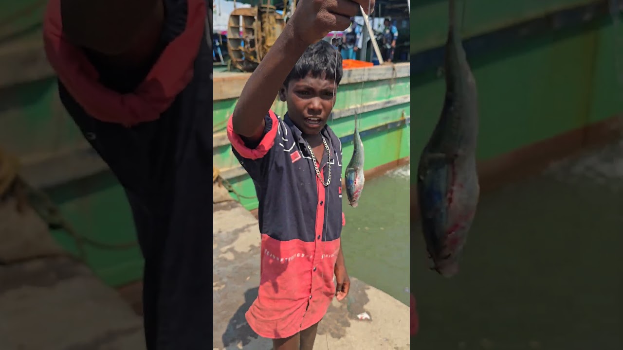 The Best Trick for Catching Sea Catfish