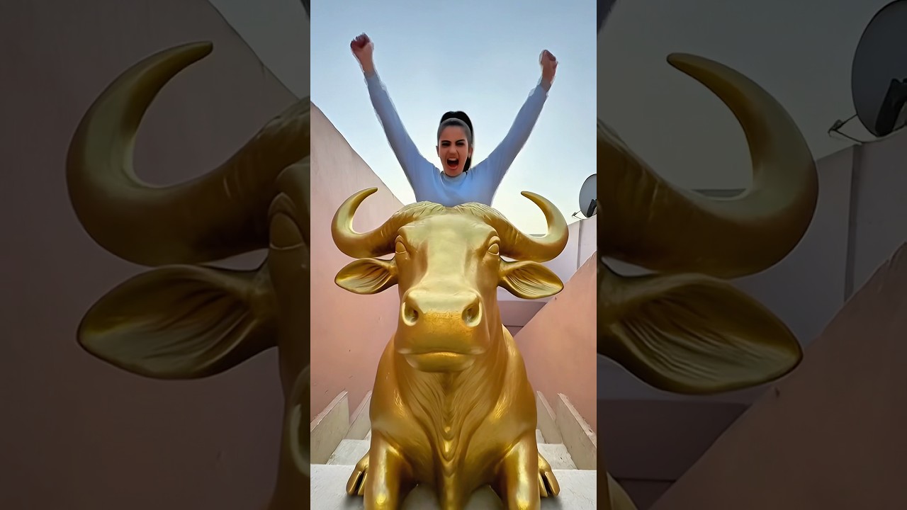 البنت كسرت الثور الزهبي😱🤲