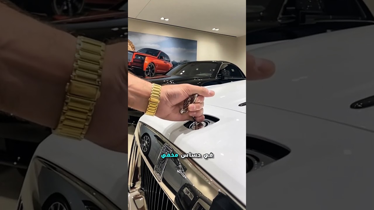 مهما يحصل اوعى تحط ايديك على تمثال العربية دى و انت بتتصور جمبها