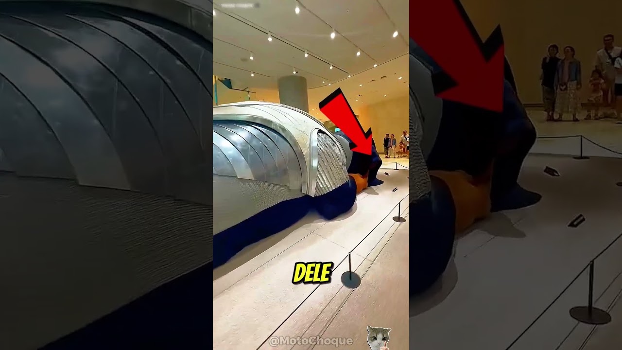 Cachorro Gigante Protege O Shopping 😳🐶