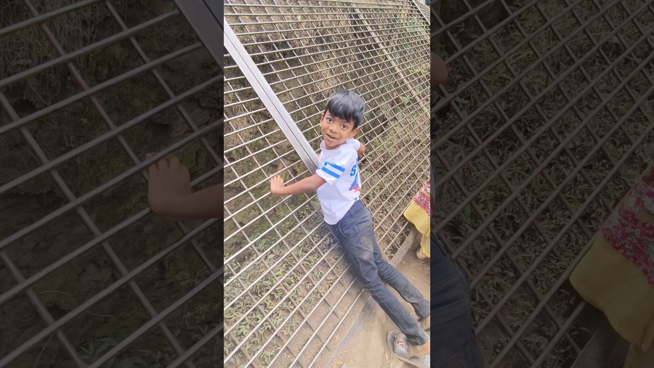 எங்க தலைக்கு எவ்வளவு தில்லு பாத்தியா😜🤣 #shorts #funny #love