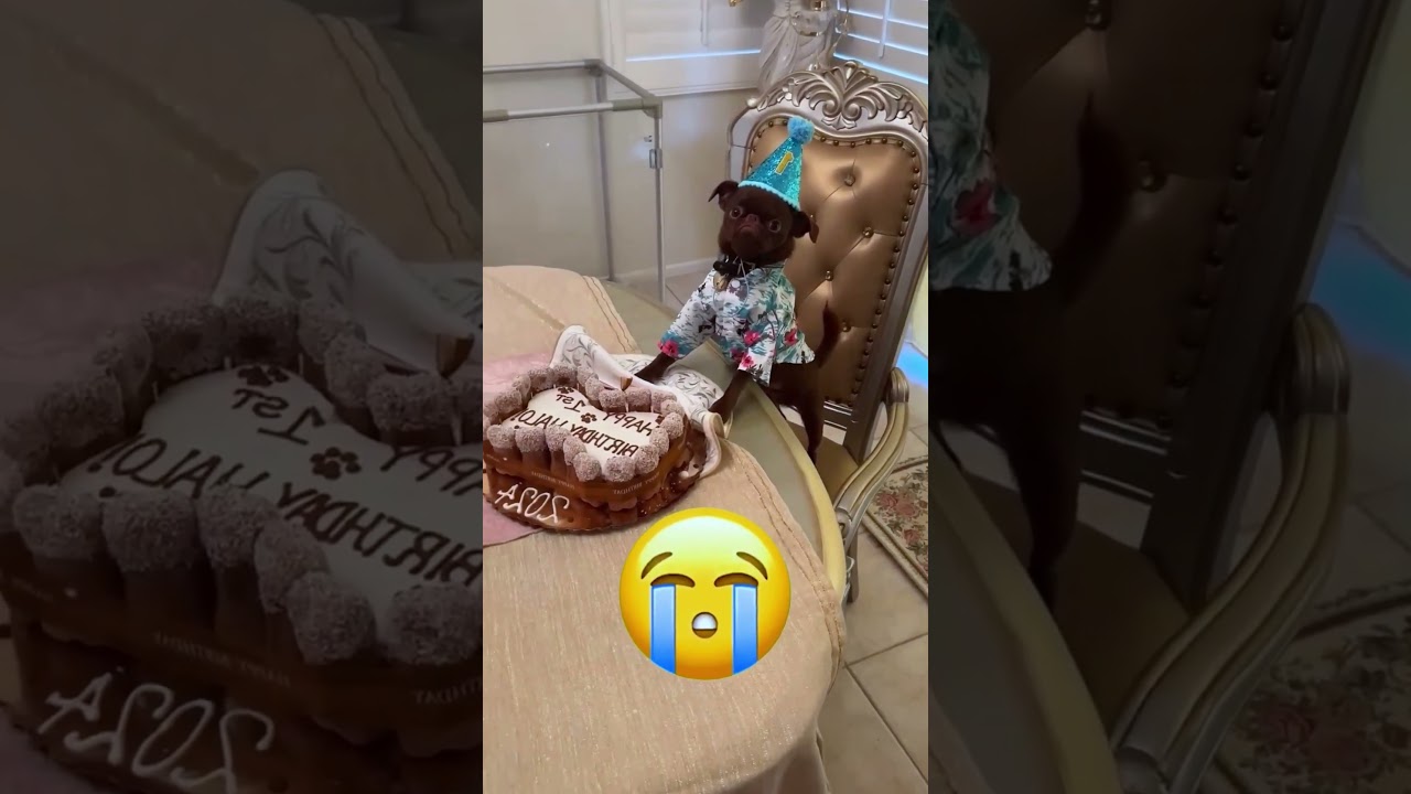 شوف إيده كان فيها إيه تحت الكنبة! 😨 #funny #reels #shortvideo #اكسبلور