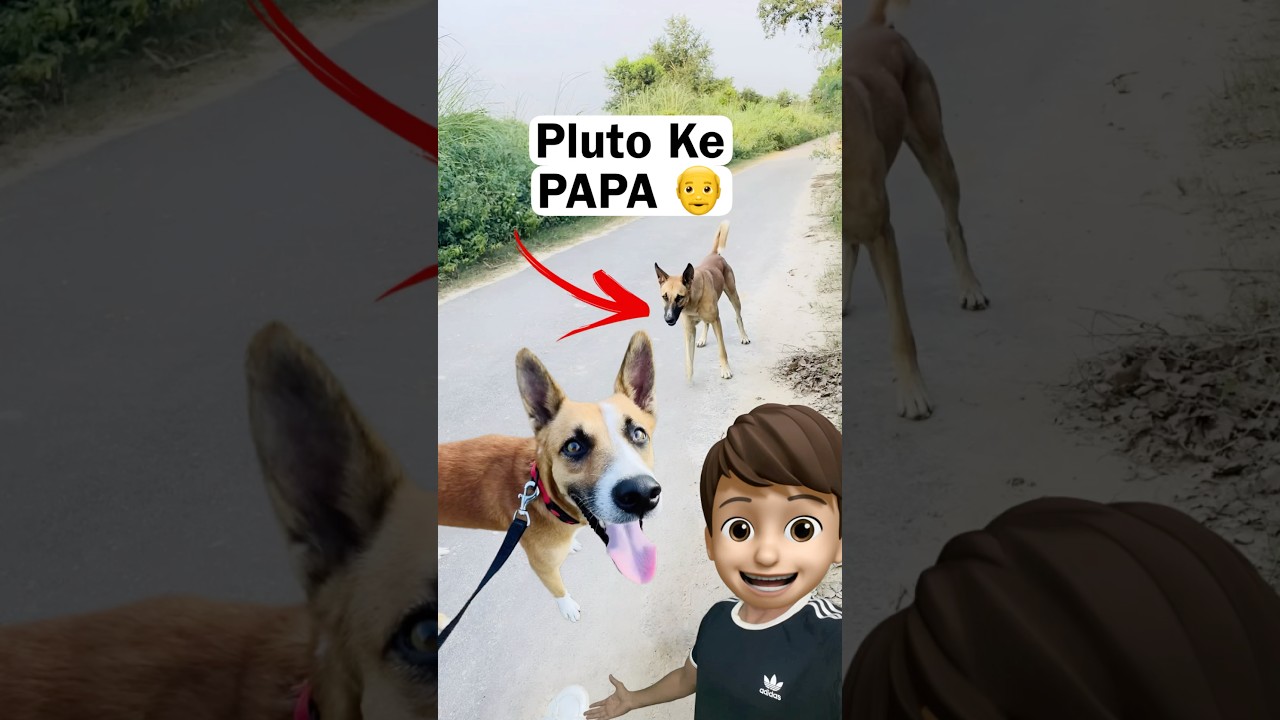 Pluto ke Papa Mil Gaye 😜