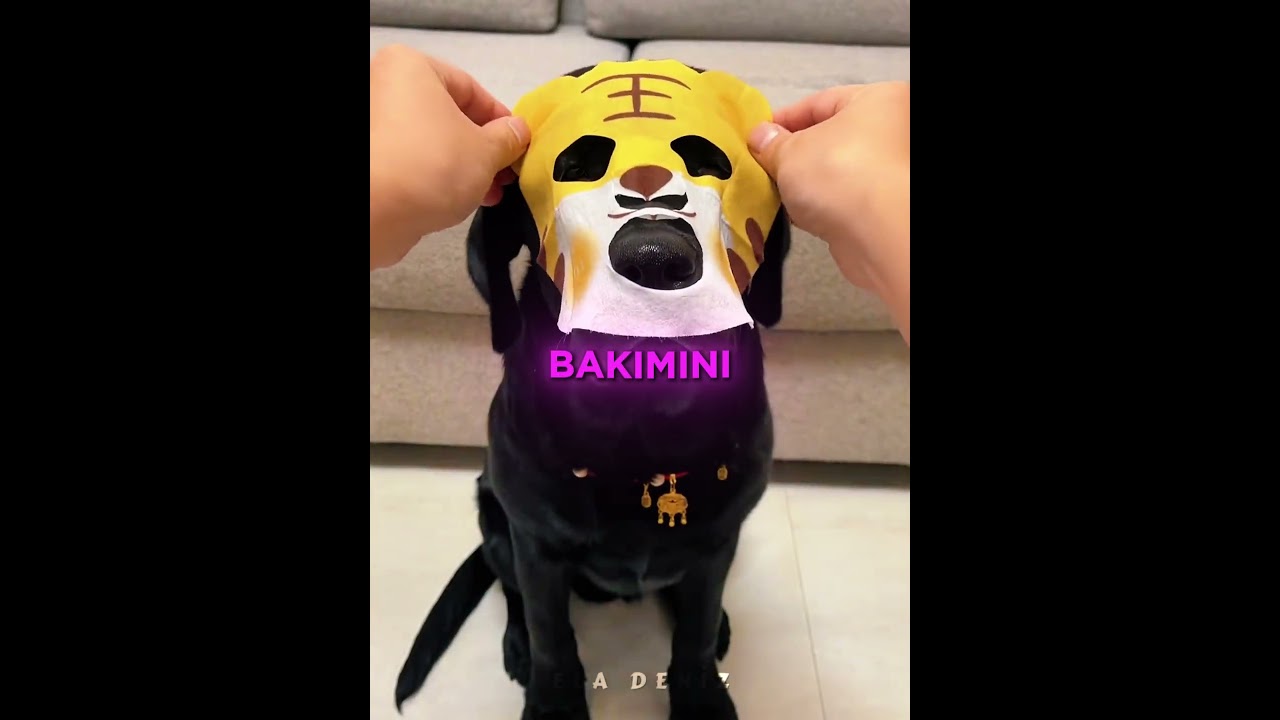 Patilerini Uzatıp Süslenmek İstedi