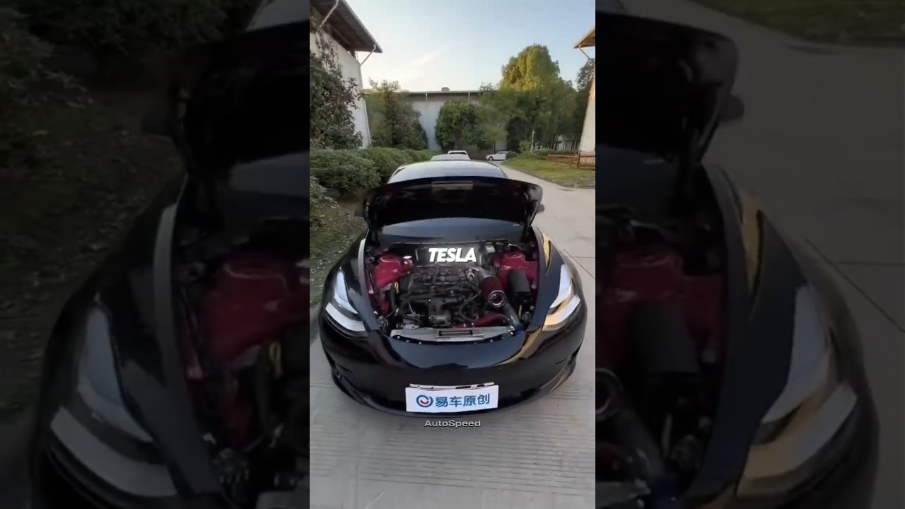 Essa cara expôs a tesla!!!