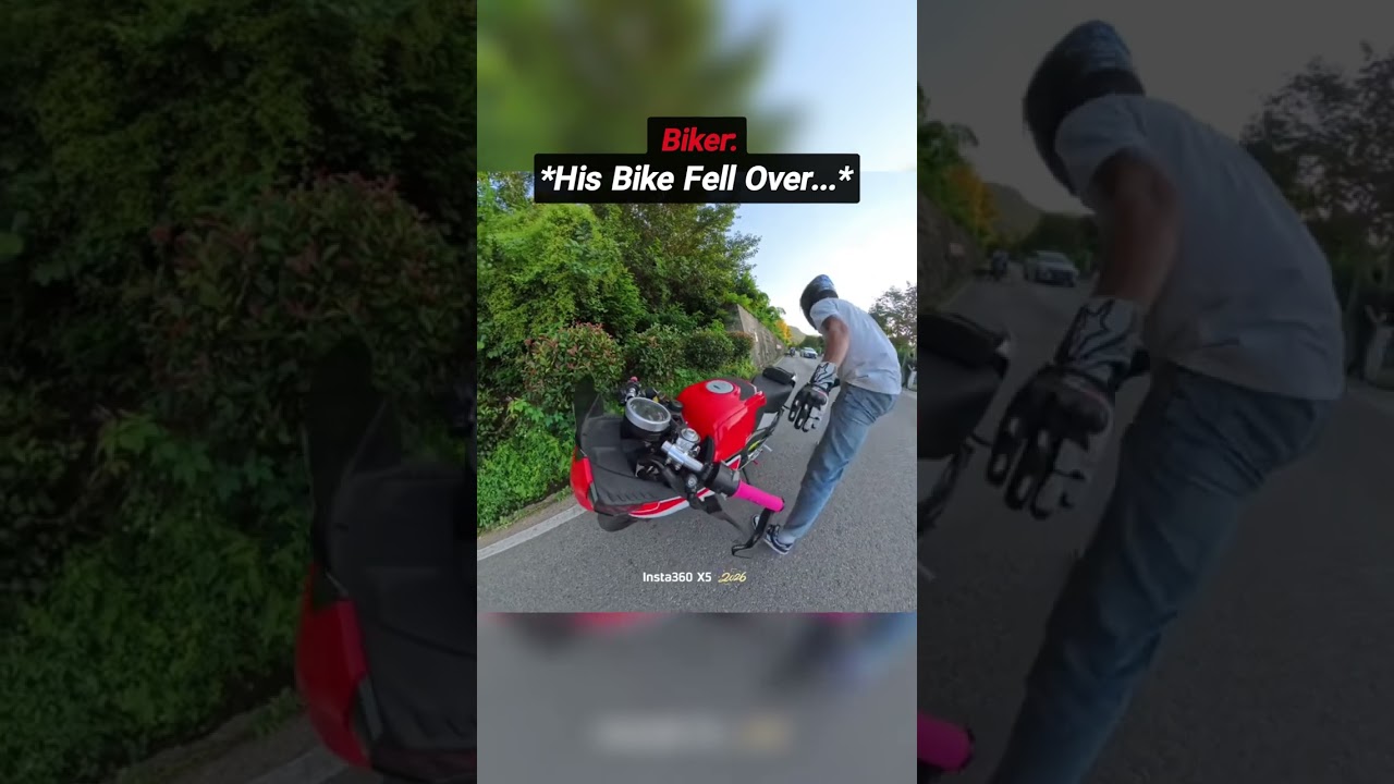 Biker's Cat Jumped Off the Bike Then This Happened 😳