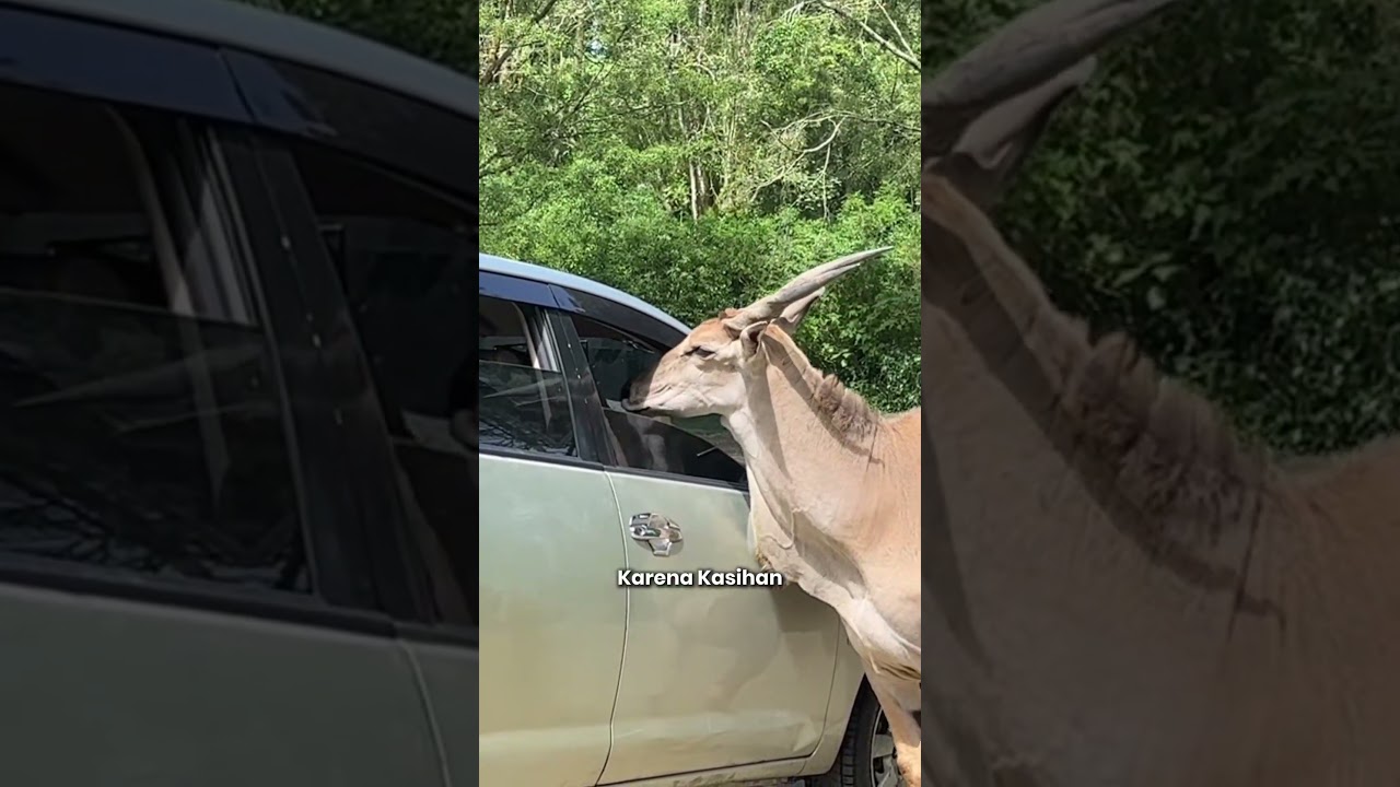 Kok Masih Ada ya Orang Begini?