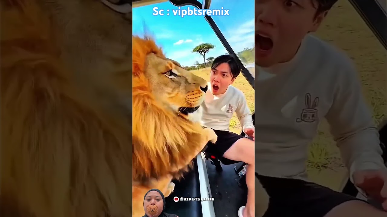 Kirain SINGA, TERNYATA ⁉️vipbtsremix #youtubeshorts #shorts #shortvideo