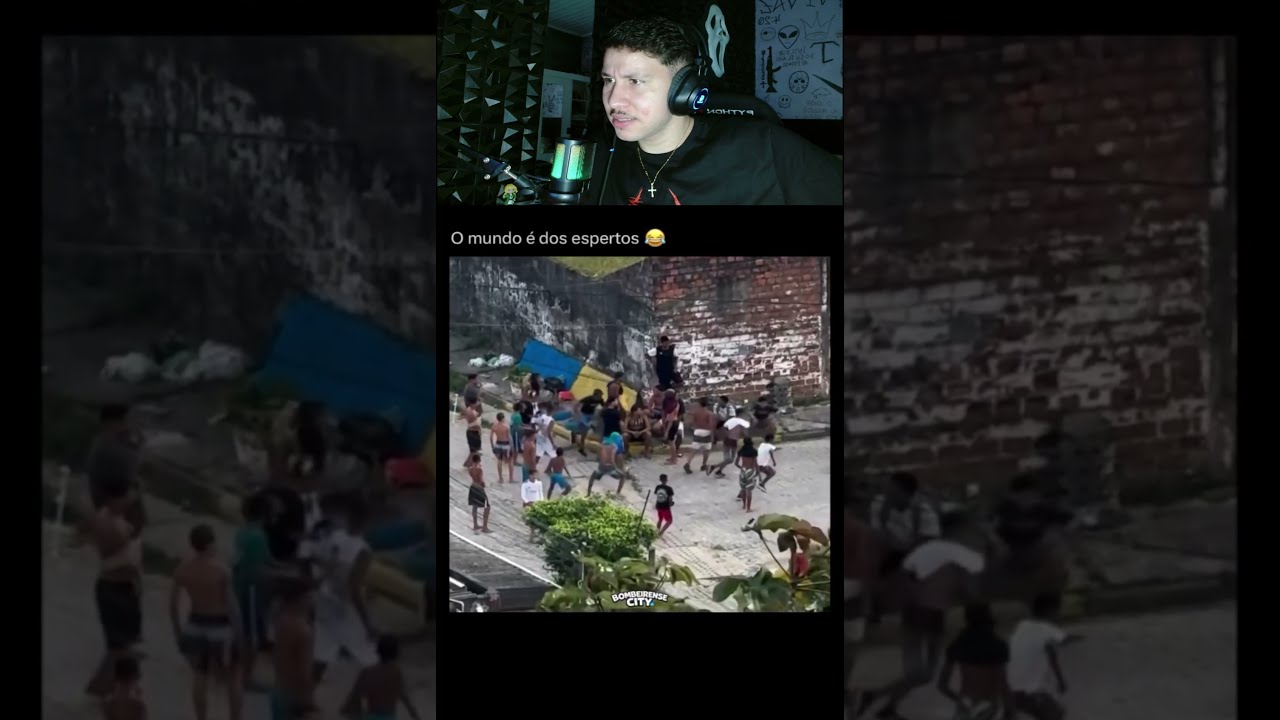 O bicho sentado, frio e calculista 😂😂