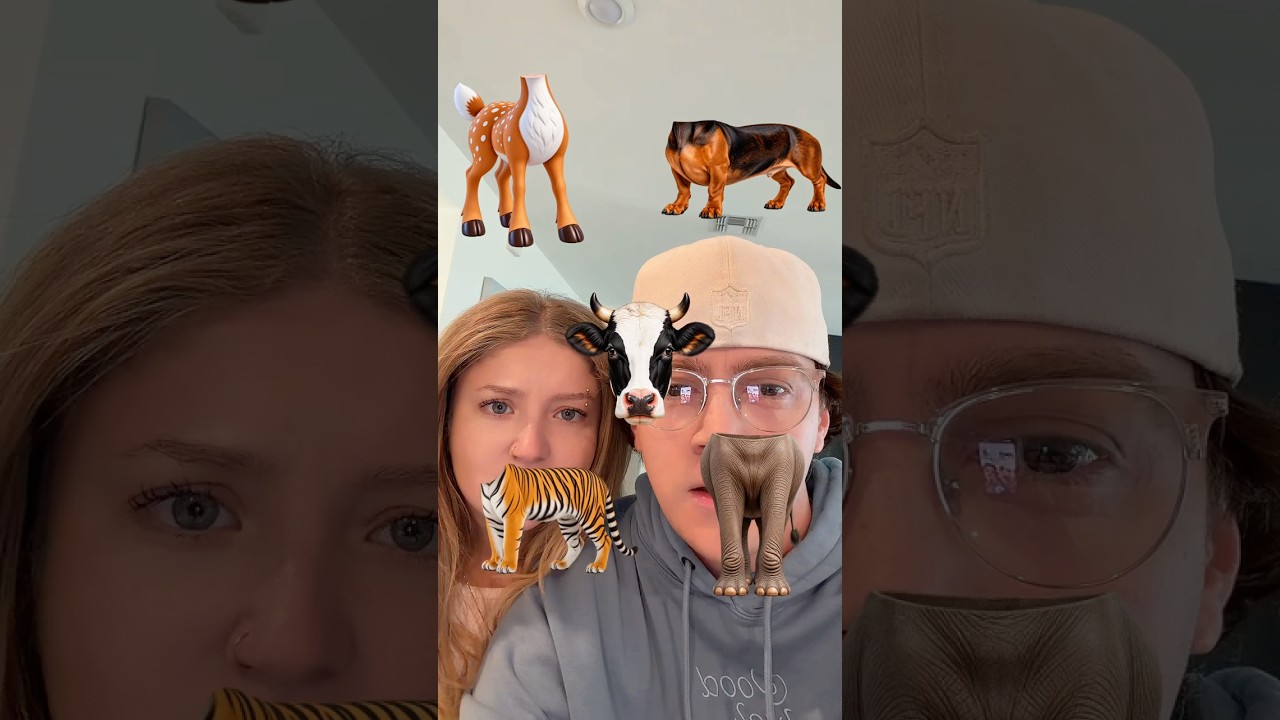 Can you match the ANIMAL? 👀