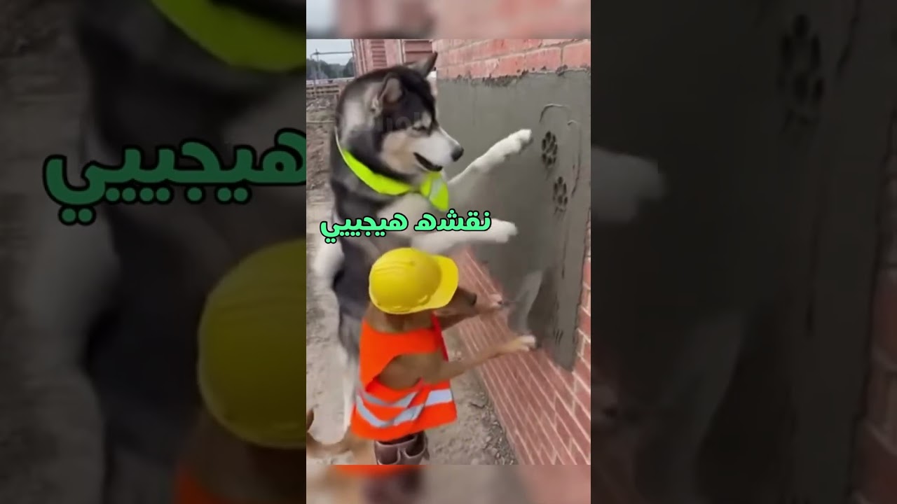 #foryou #العراق #saudiaarbia #دبلجة #fyp سوا مصيبه بالصبه 