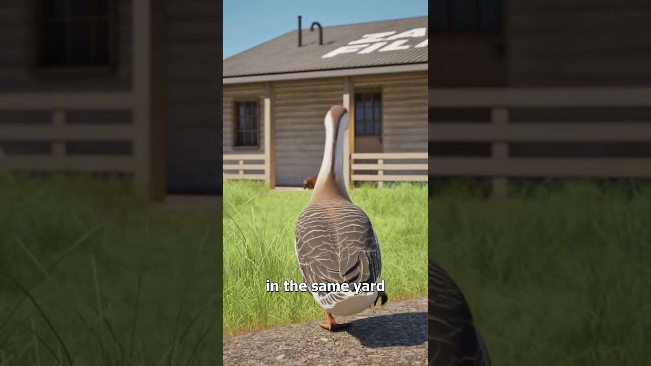 This Goose Became A Blind Dog’s Guide 🥲