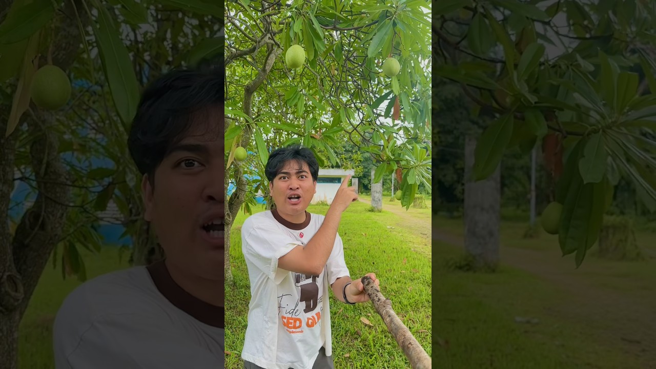 minta bagi mangga kok malah di kasih mangga busuk ini kan baukk