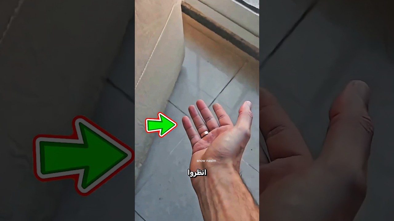 🦠😱 البكتيريا تحت الأريكة صدمت الجميع! #catsoftiktok #cat #cute #funnycats #fyp #cutecat