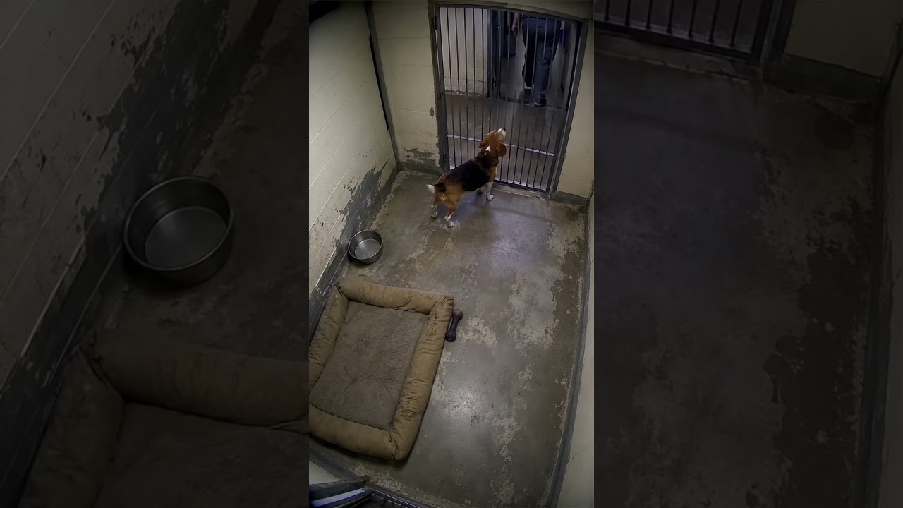 They took his best friend and left him all alone…😢