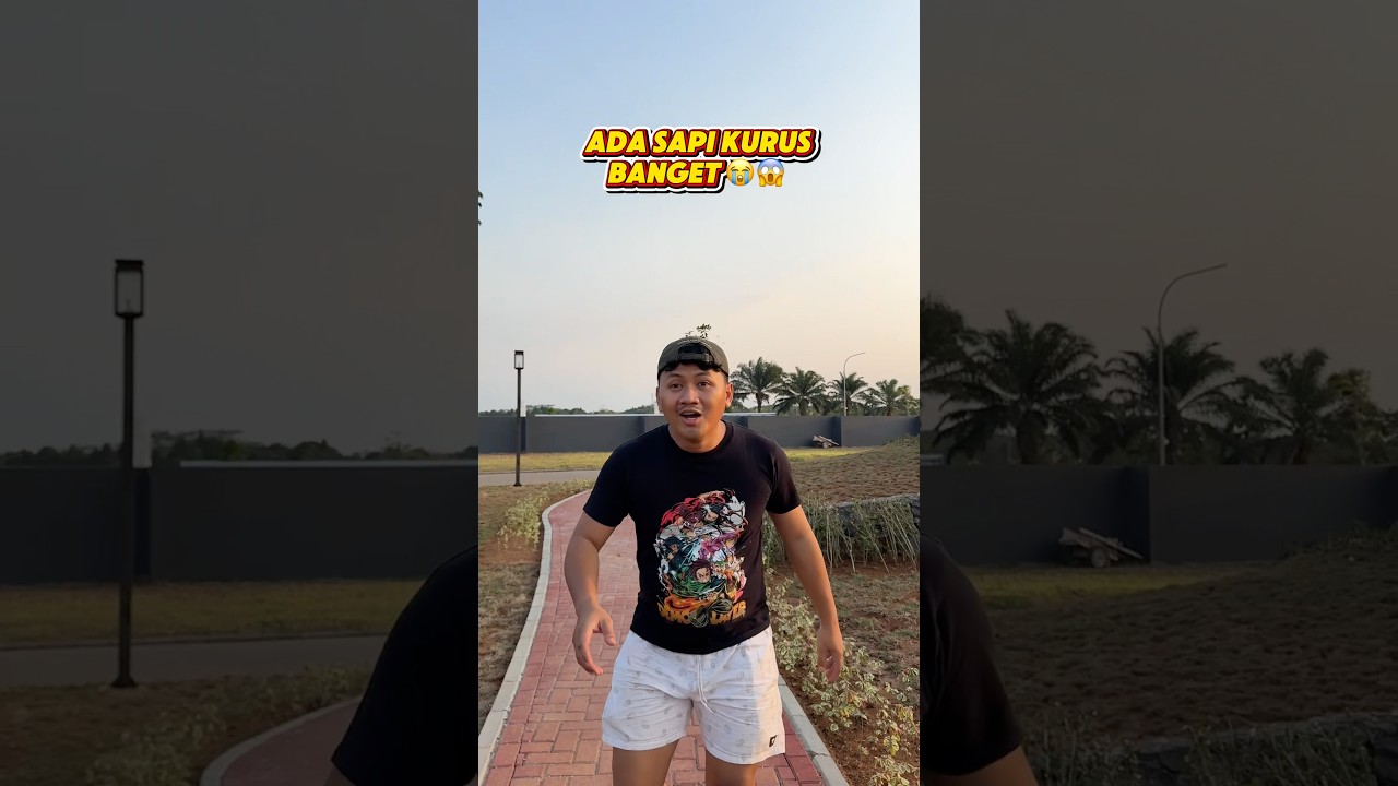 Sapi kurus di bikin gemuk 🤤