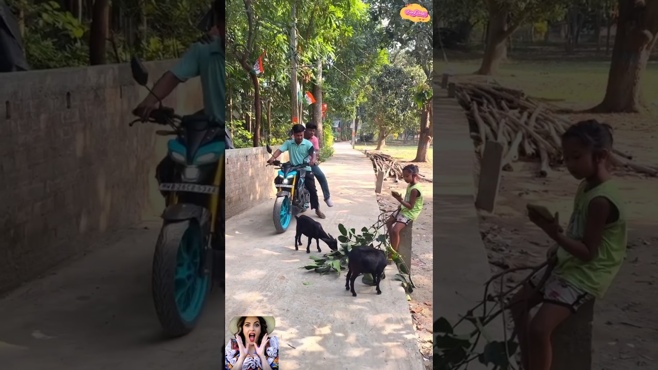 سرق المعزه واتصدم في الآخر😂#اكسبلور #funny #كوميديات #comedy