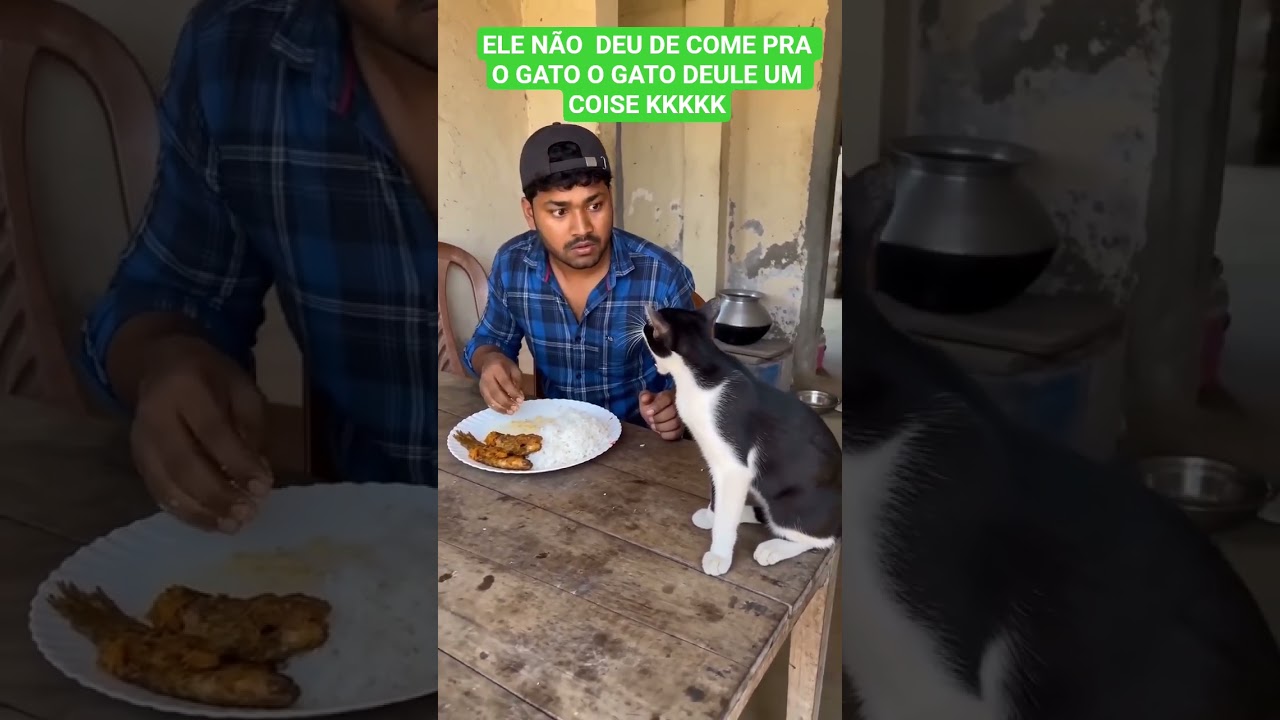 cOISE DO GATO KKKKKK🤣🤣🤣😁😁😁😀😀😀