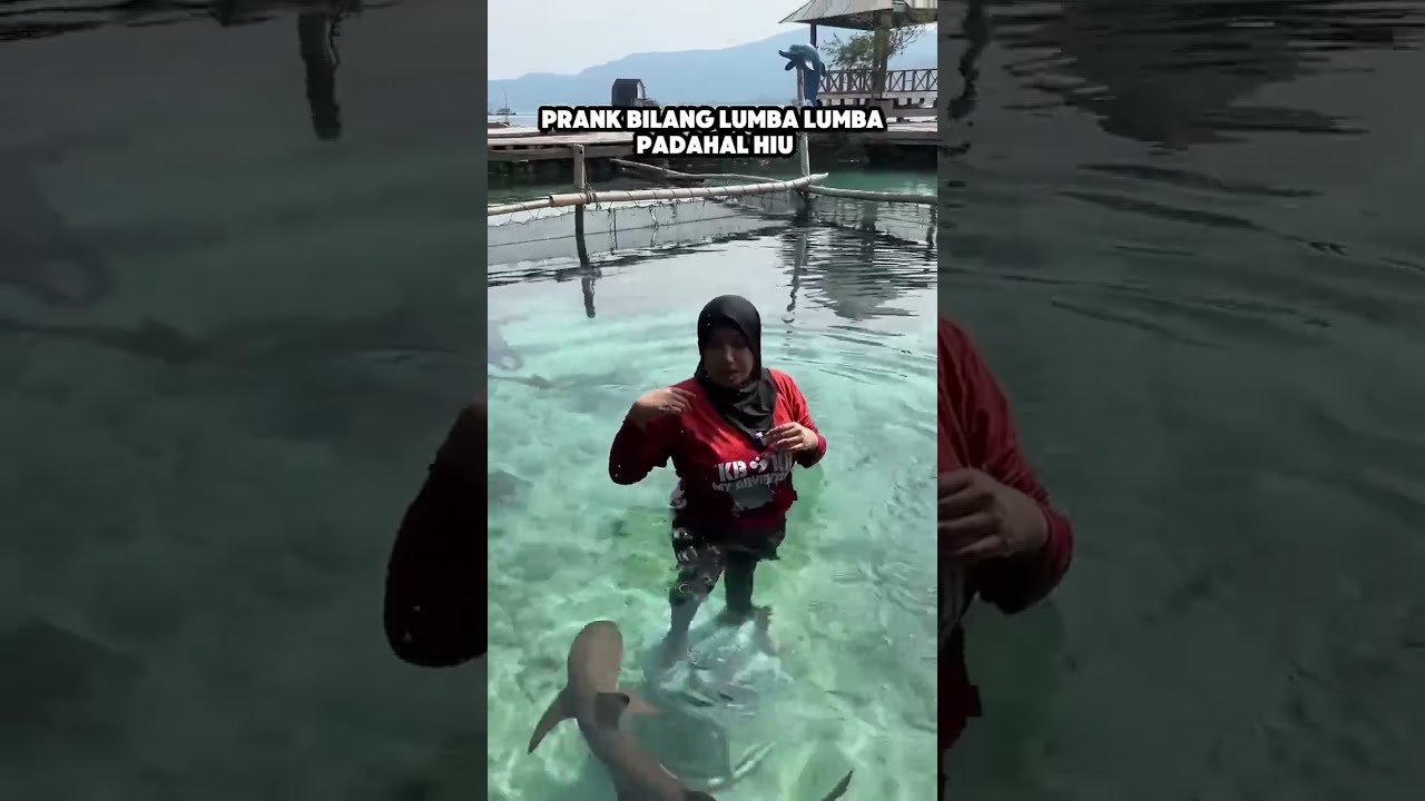 PRANK BILANG LUMBA LUMBA PADAHAL HIU ‼️