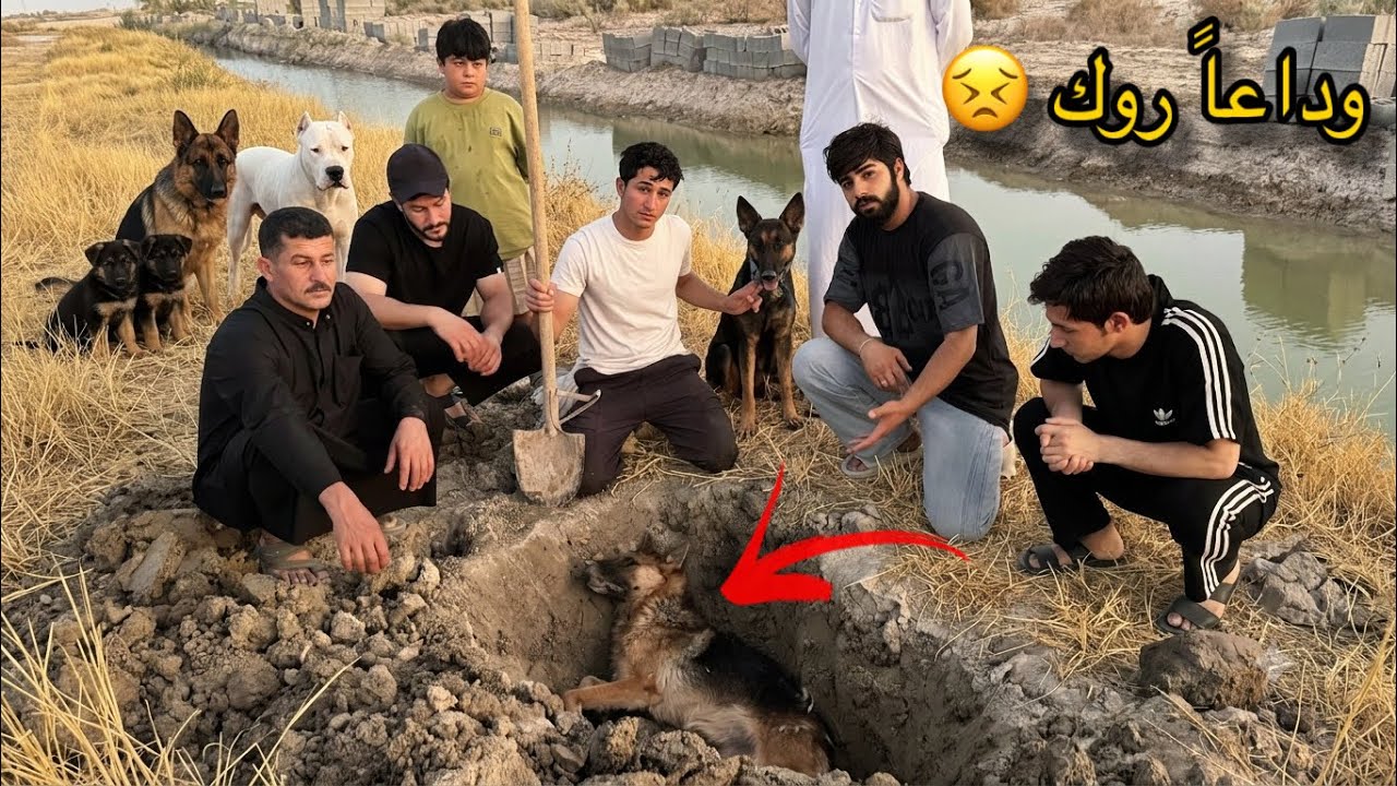 انتهت قصة روك .. الوداع المرعب لأسطورة المغامرات! 😣💔