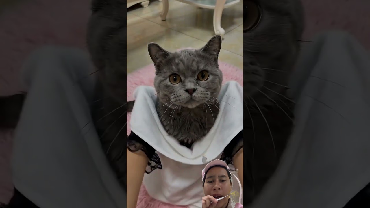 Kimmy jadi punya teman baru ‼️