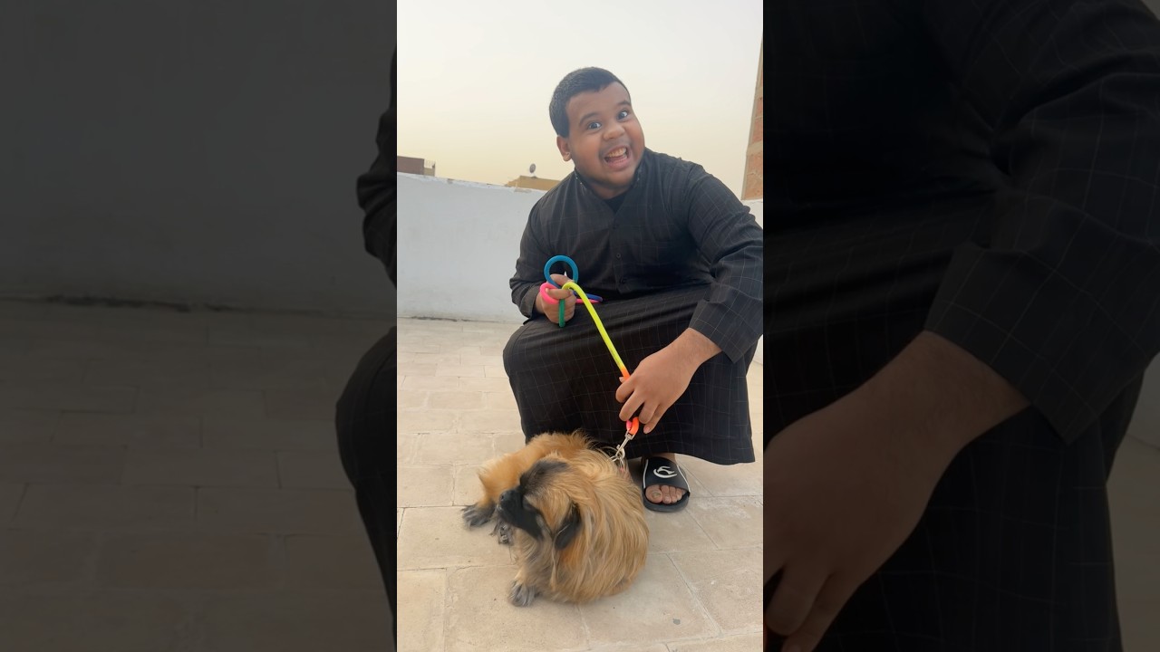 دودو خايف من الكلب 😂