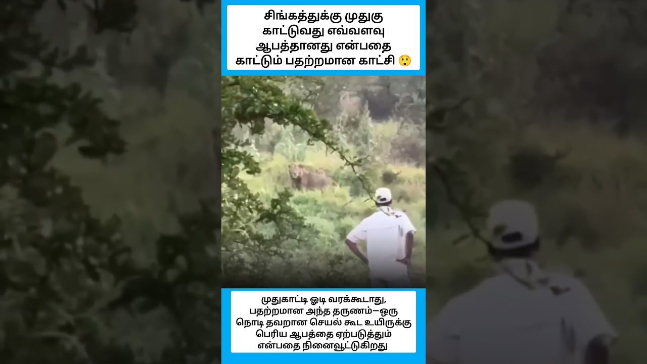 முதுகு காட்டுவது எவ்வளவு ஆபத்தானது #shorts