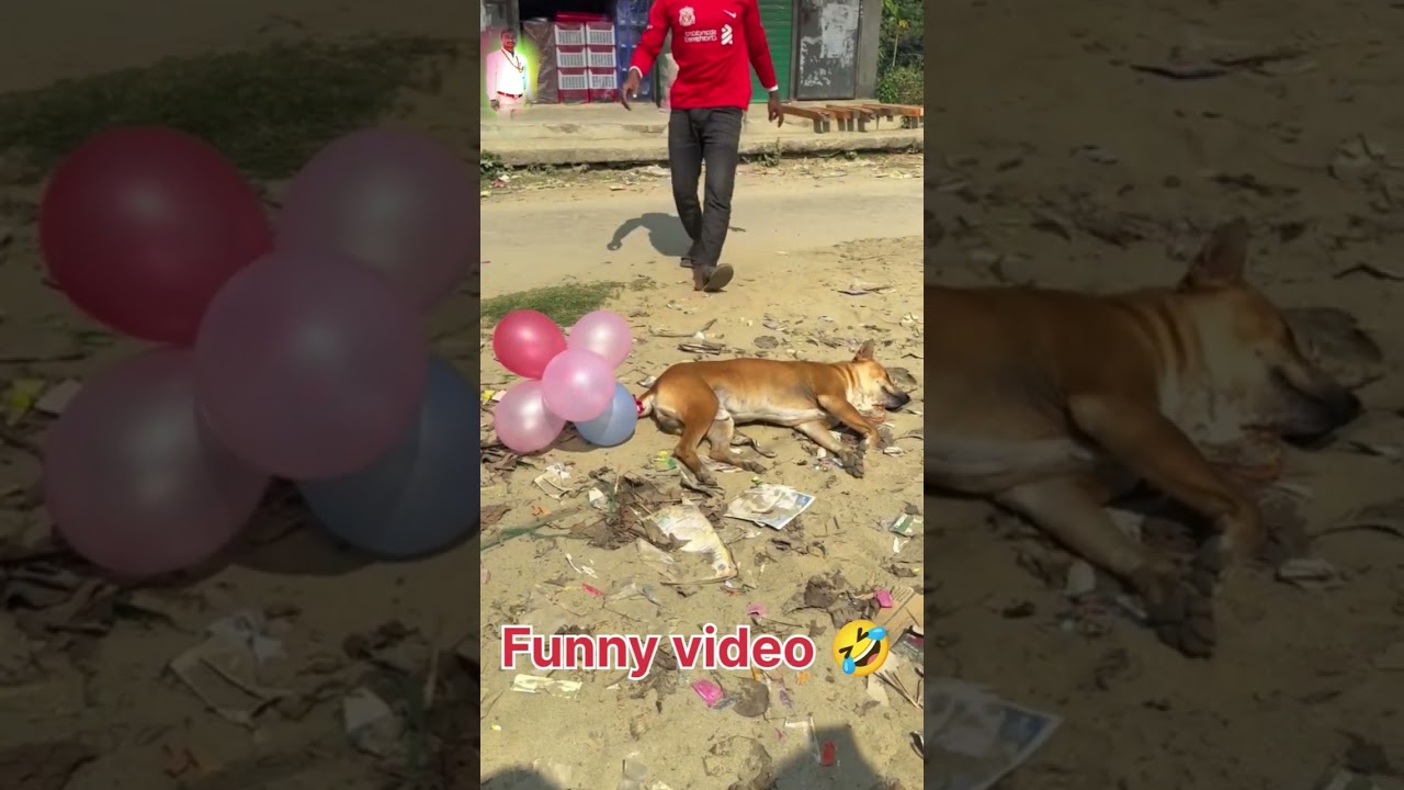 #funny #viral फनी वीडियो