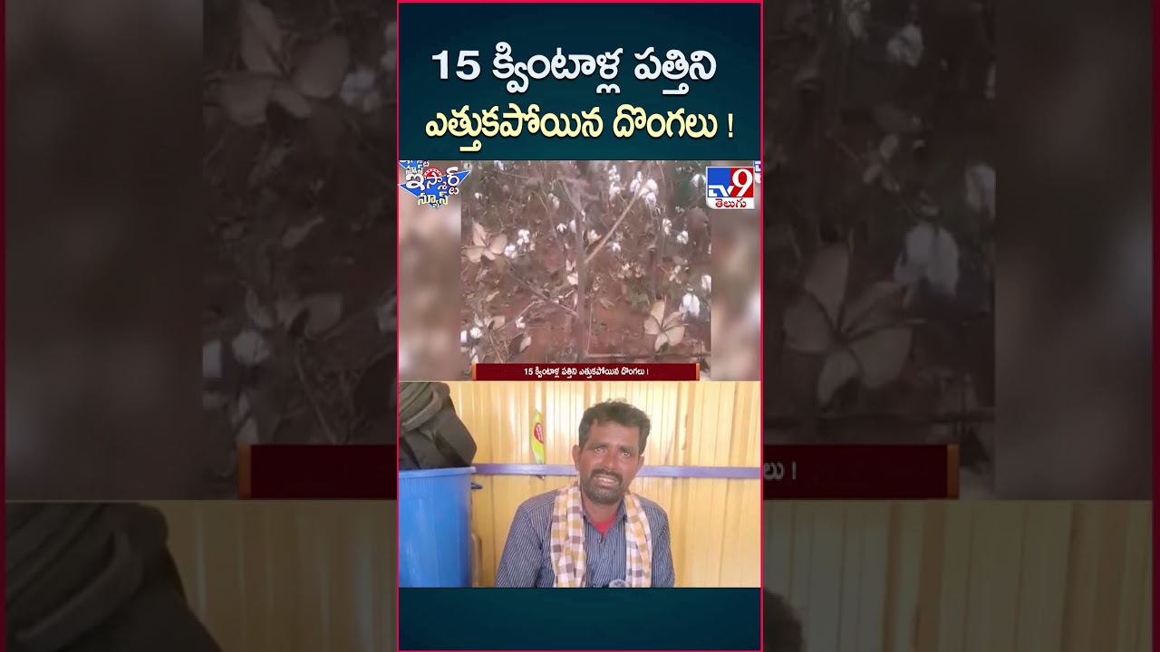 iSmart News : 15 క్వింటాళ్ల పత్తిని ఎత్తుకపోయిన దొంగలు ! | Cotton - TV9