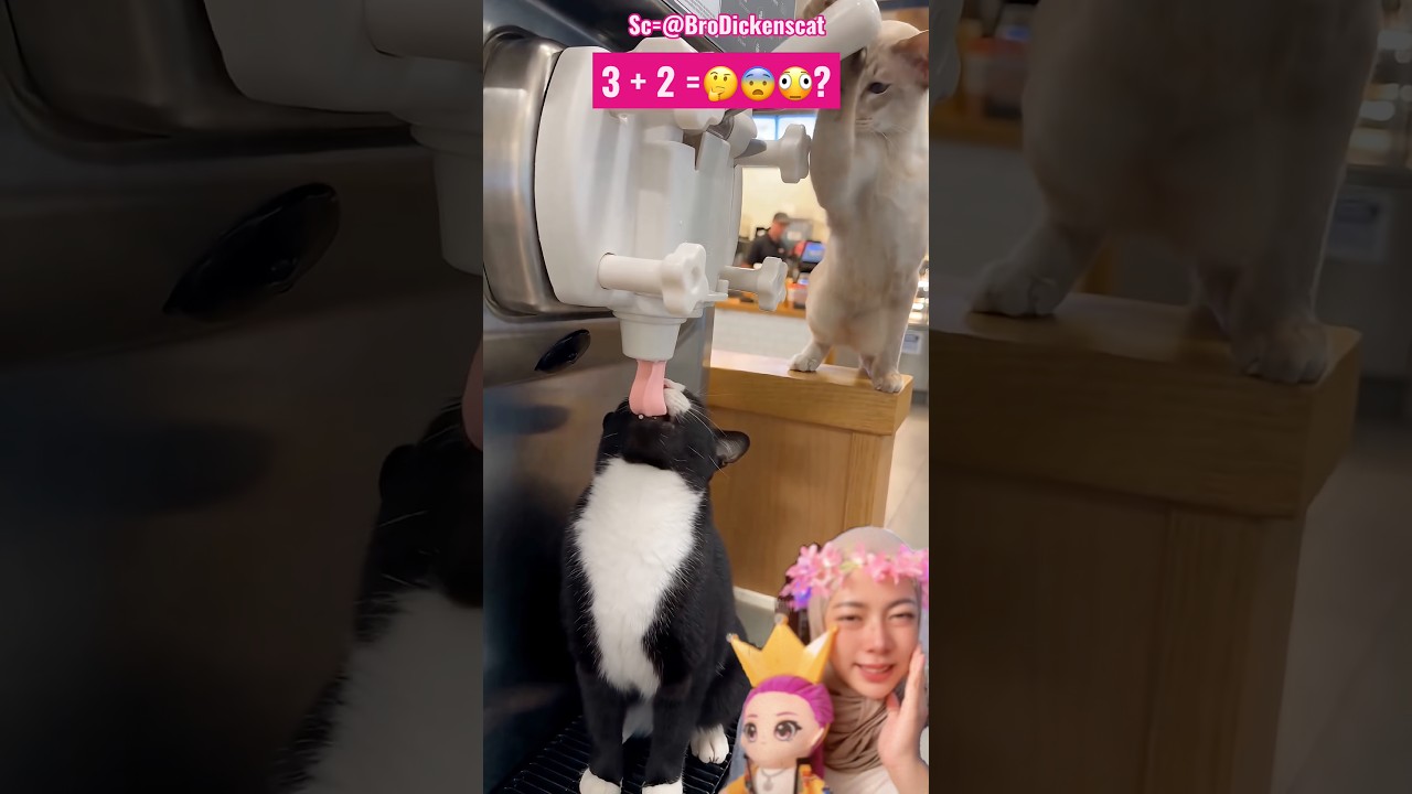 Tanpa Dosa‼️Si Putih Dan Si Hitam Curi Eskrim 😱🤣