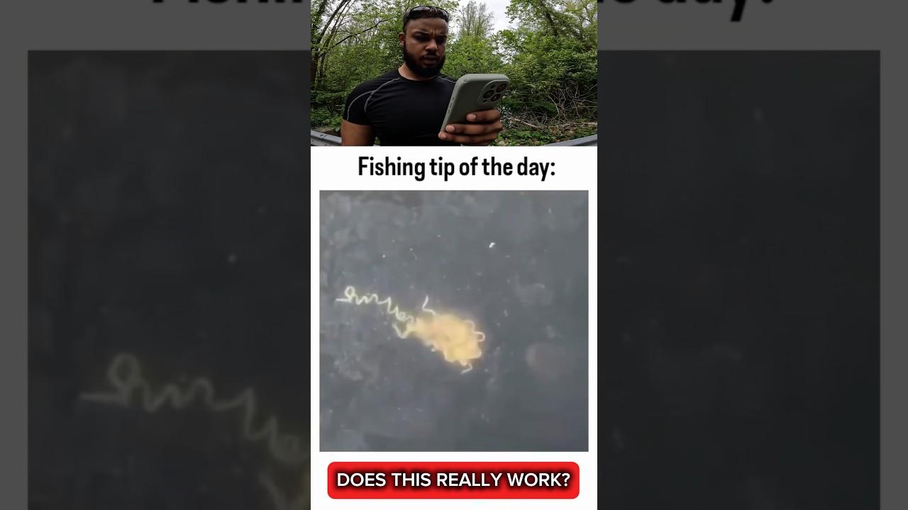 Do Fish EAT RAMEN? - Published by Pondhub Fishing
