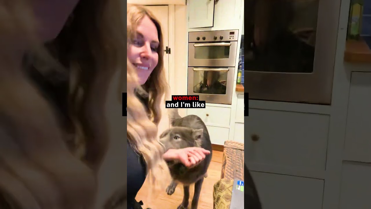 This Dog Is Too Smart 🤯🐕
