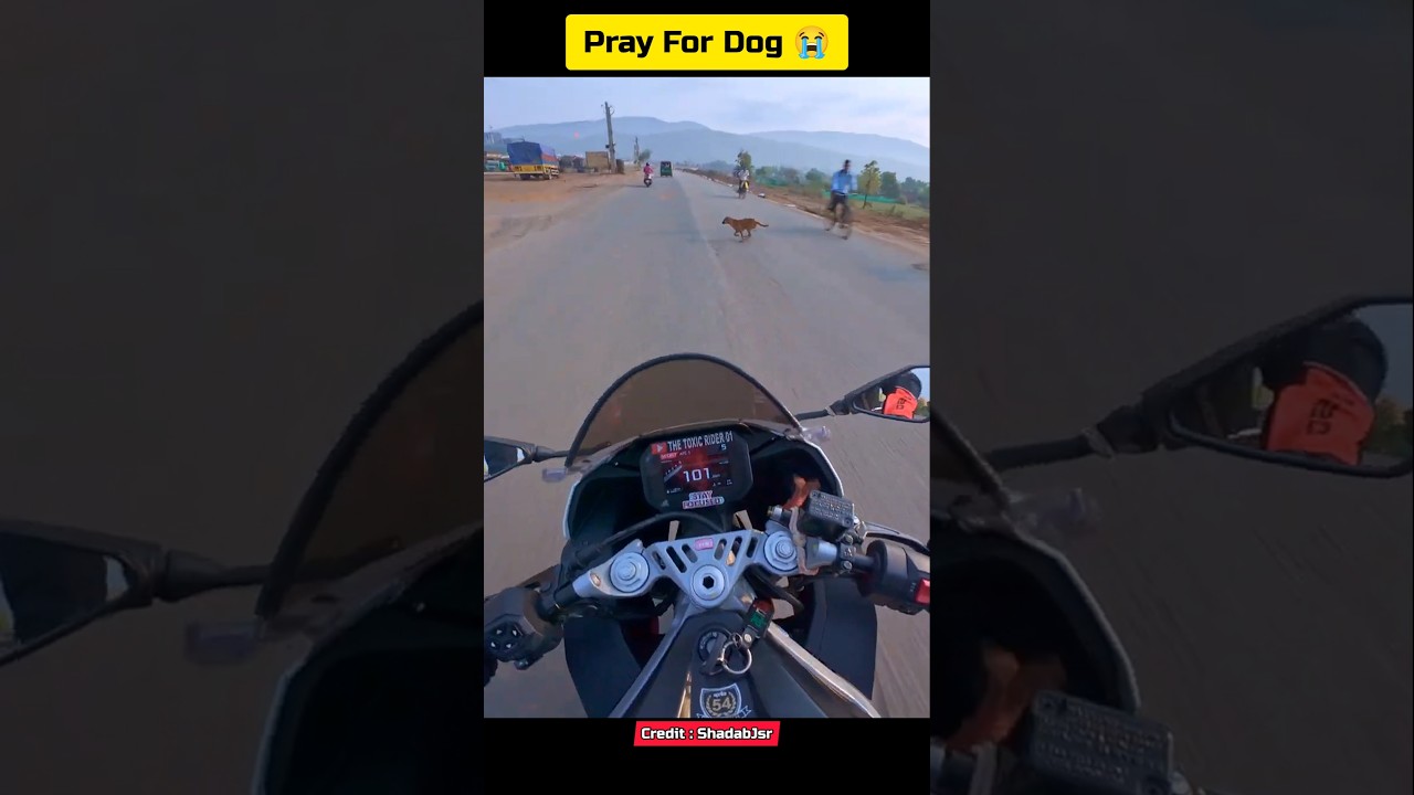 Dog Mistake😭🙏Motovlogs #ytshorts #bike #motovlog