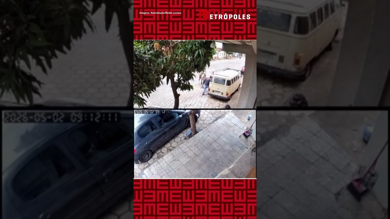 Homem leva coice de cavalo e revida em Minas Gerais