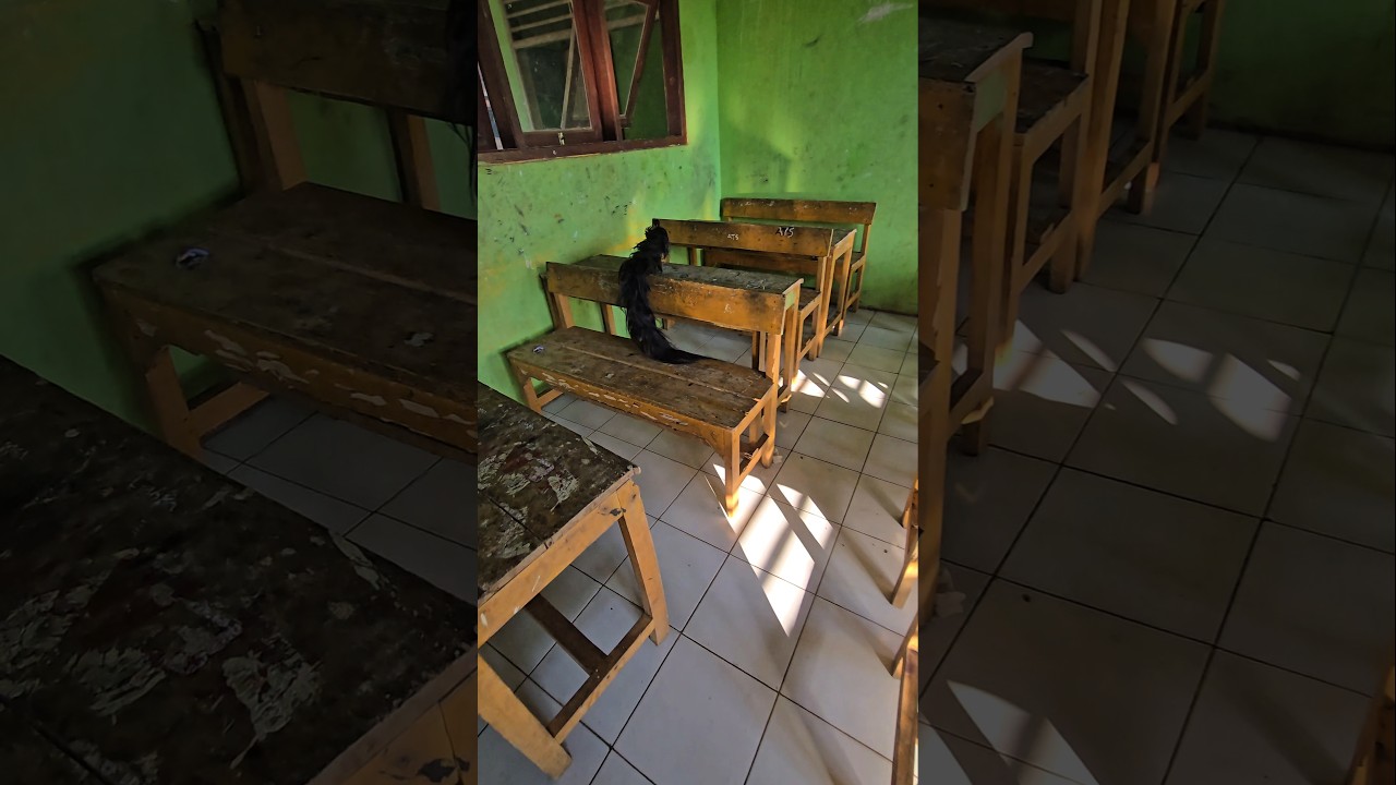 ada rambut hitam pekat di bangku sekolah gerak secepat kilat #trendingshorts