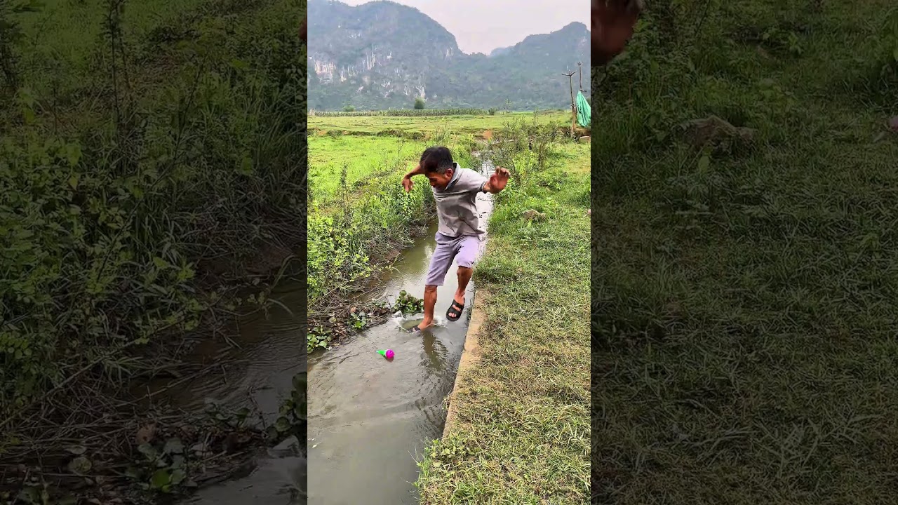 A fish played a horn?! Then this happened