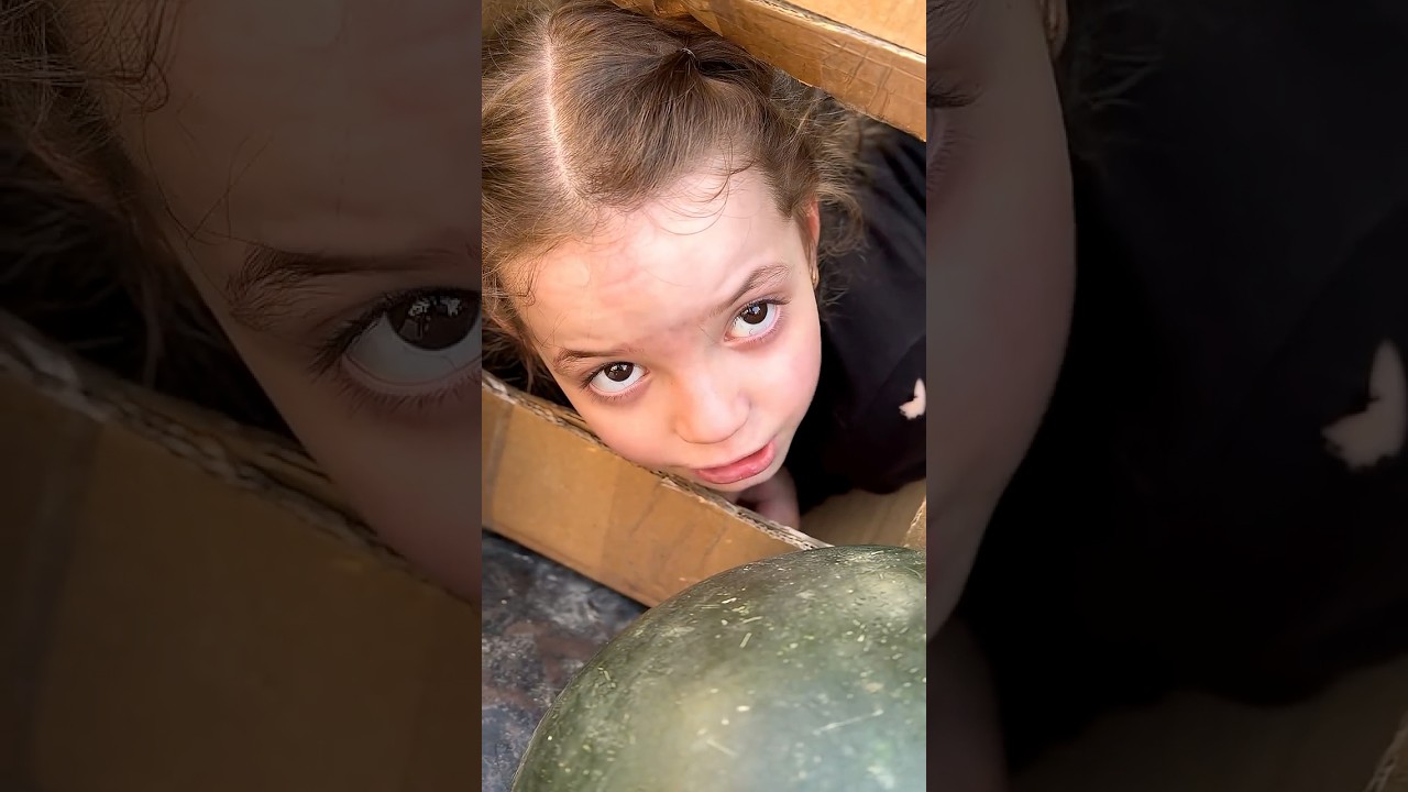 بطيخه براسها 🍉😂