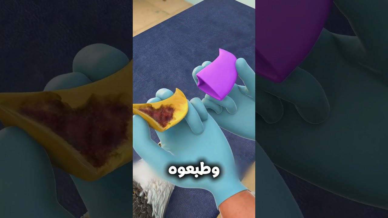 🦅✨ أعادوا للنسر قدرته على الأكل من جديد! #shorts