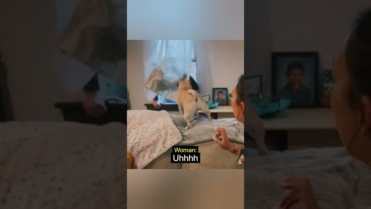 Woman Is Not Scared Of Intruder