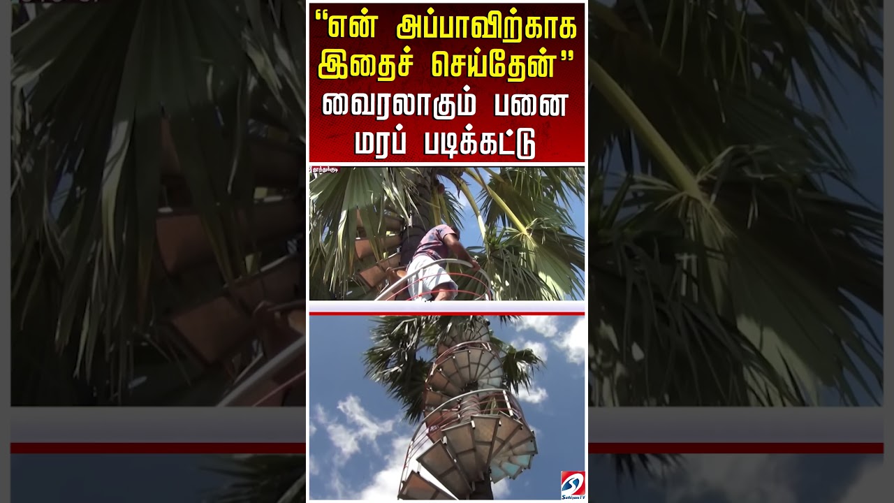 ''என் அப்பாவிற்காக இதைச் செய்தேன்'' – தூத்துக்குடியில் வைரலாகும் பனை மரப் படிக்கட்டு