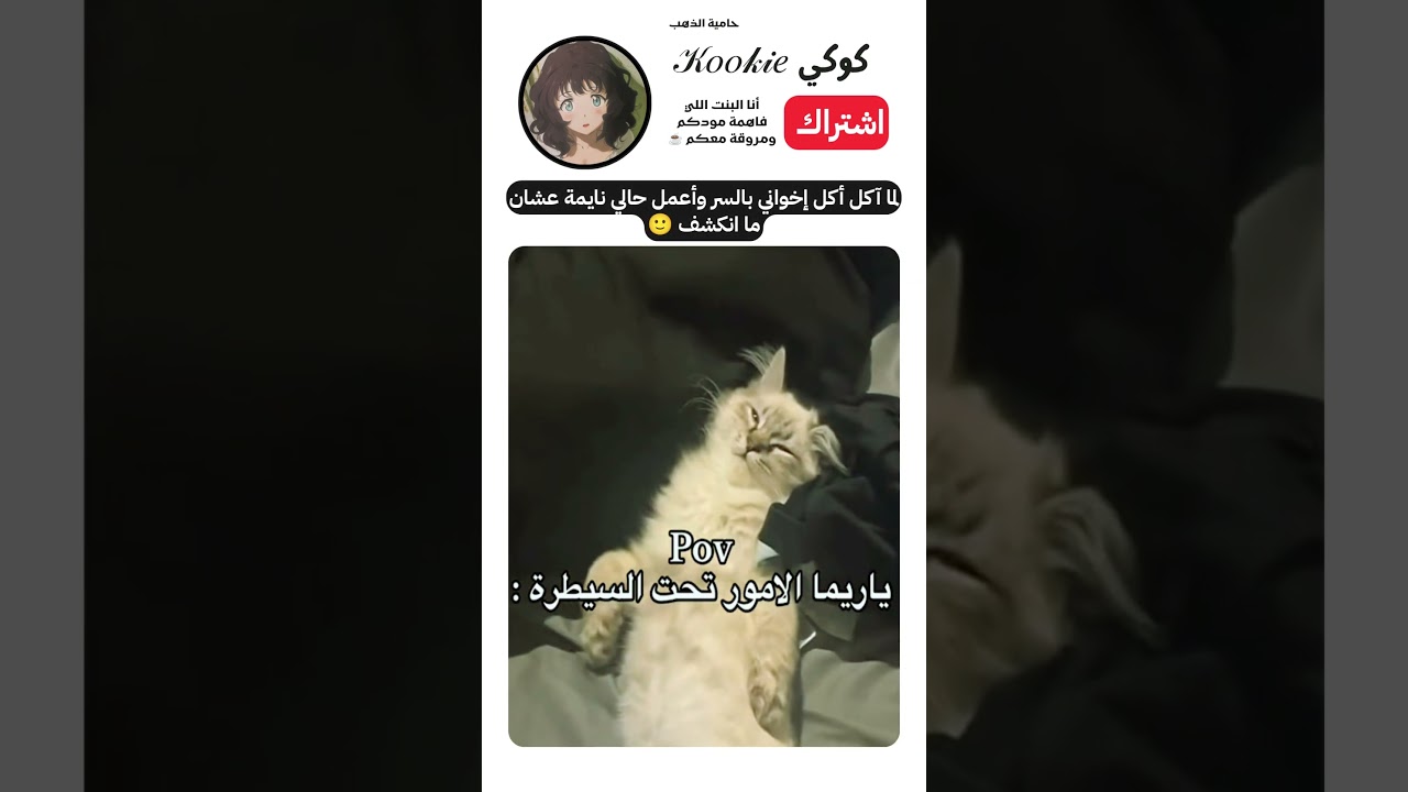 المجرم الحقيقي بالبيت 😭