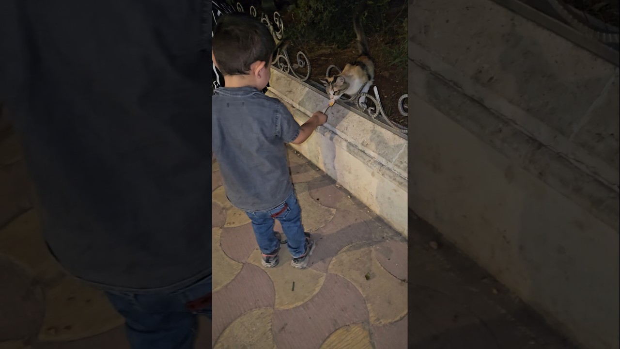 القطة 🐈بدا تاكل درة🌽#هبوش#فاميلي #بلال#آدم#سيلين