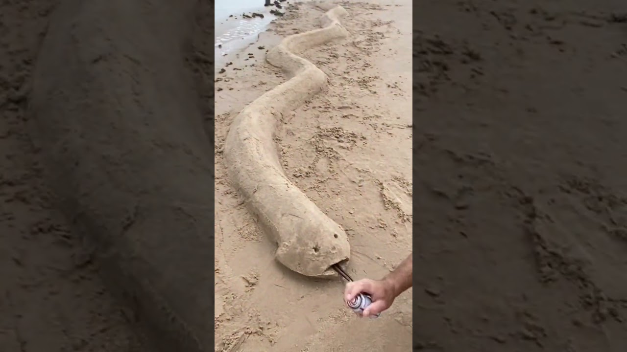 ESSA COBRA É DE AREIA?! 😱🐍 #shortvideo #beach #funnyshorts