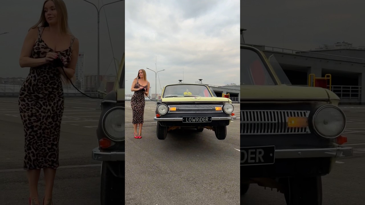 Volga vs ZAZ