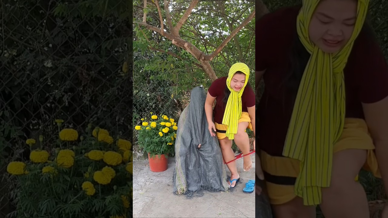 vui ngày mới 🥰🥰🥰